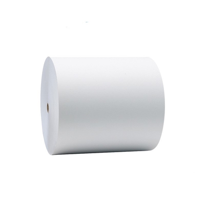 Customizable Logo Paper Cup Raw Material 100% Biodegradable Eco Pulp